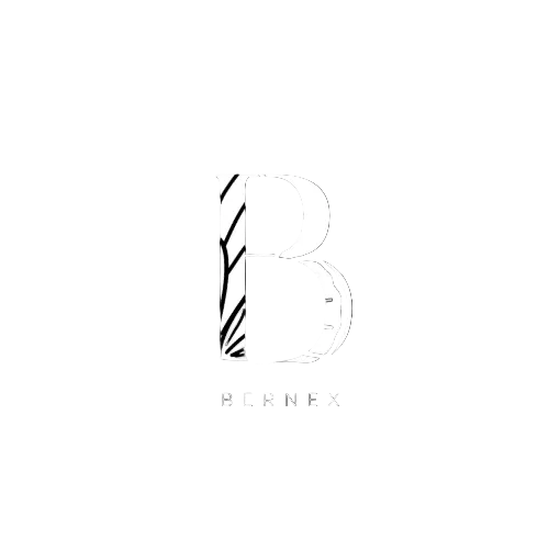 BERNEX